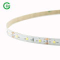 3years Warranty SMD2835 60LED DC24 Single Color Strip for Lighting Decoration
